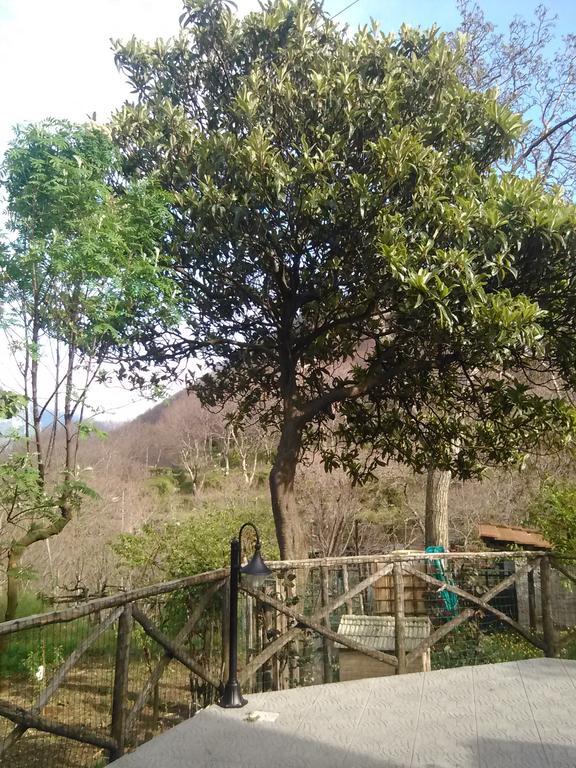 트라몬티 Casa Giordano 빌라 외부 사진