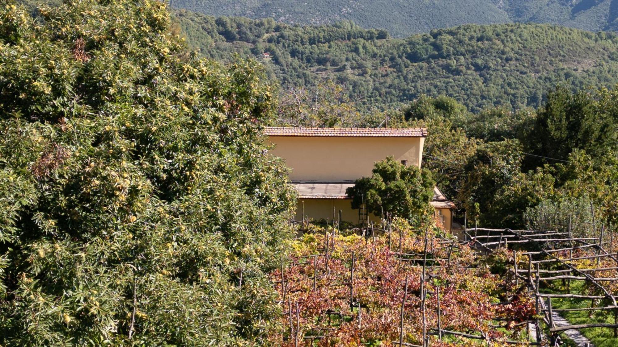 트라몬티 Casa Giordano 빌라 외부 사진