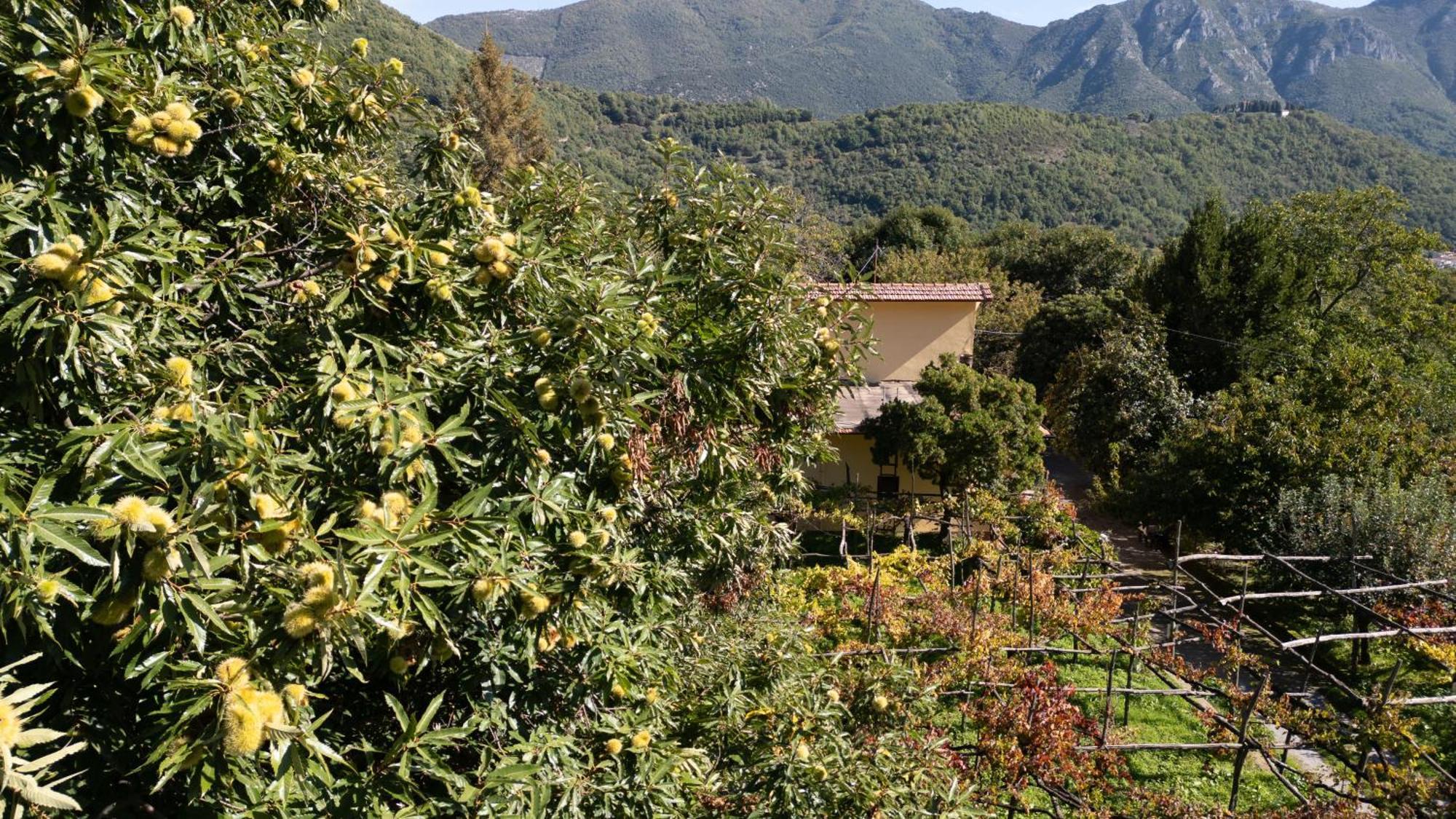 트라몬티 Casa Giordano 빌라 외부 사진