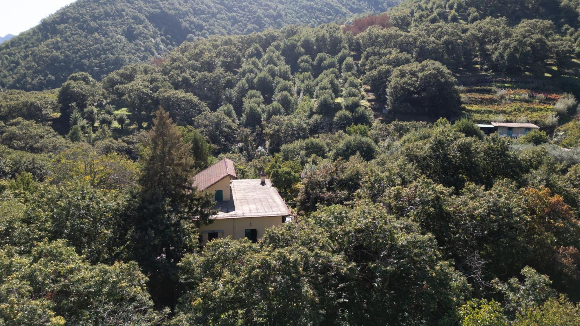 트라몬티 Casa Giordano 빌라 외부 사진